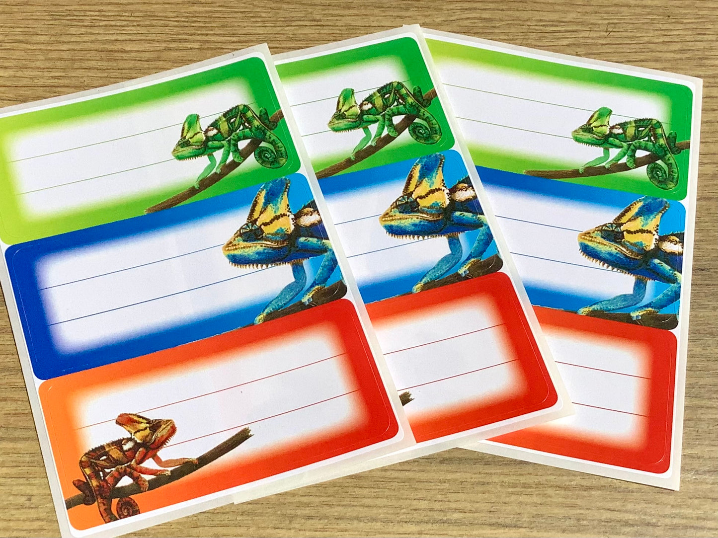 Etiketten Buchschild Schuletiketten Gecko Herma 5876