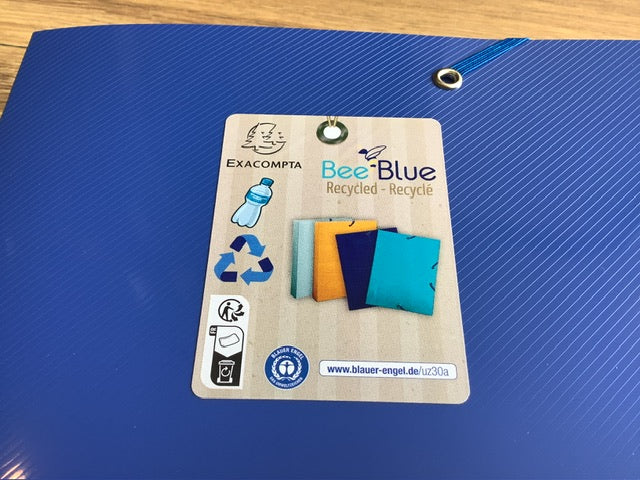 Sammelbox Recycling-PP blau BeeBlue 4cm