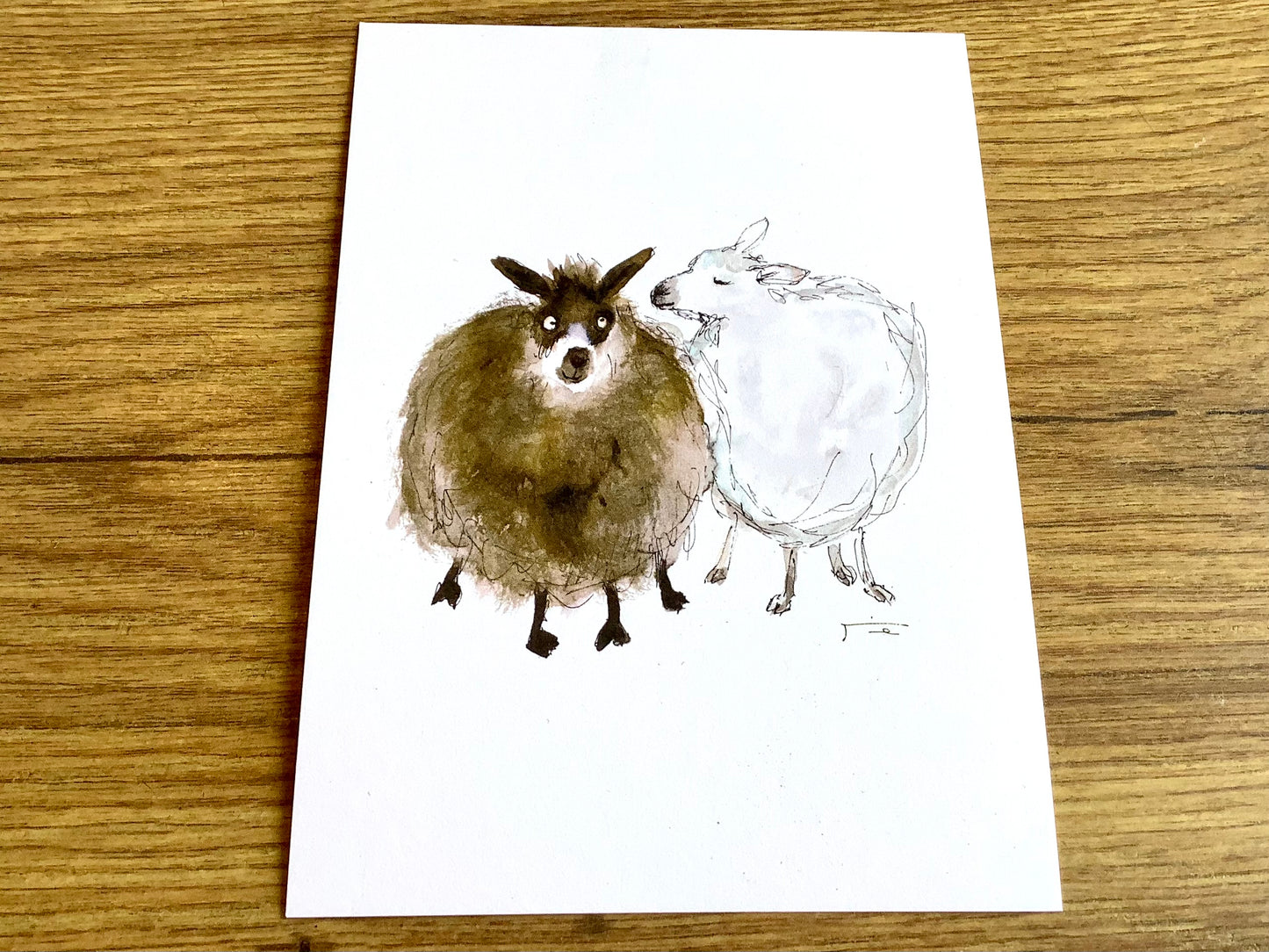 Postkarte Schafe (JustinTime) - Polly Paper - Umweltfreundliche Schreibwaren
