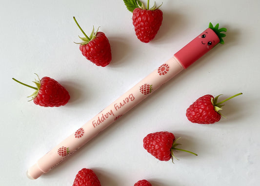 Geschreiber erase-it