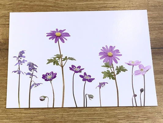 Postkarte Blaue Frühlingsboten („Zwiebelblüher“) A6 - Polly Paper - Umweltfreundliche Schreibwaren