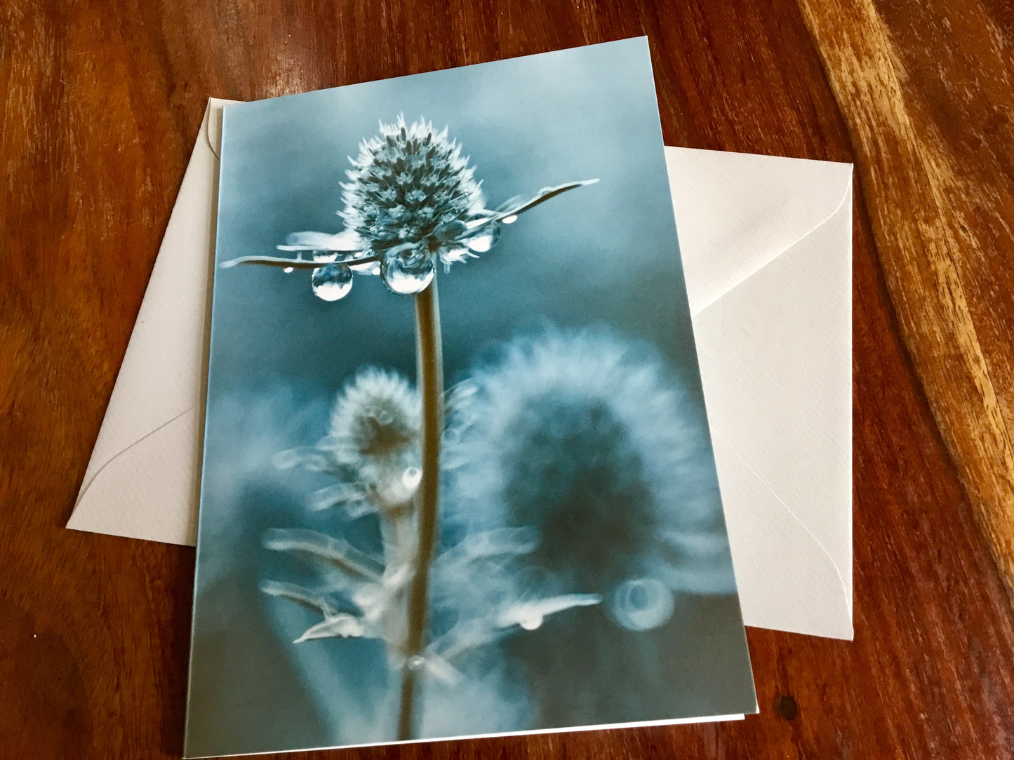 Briefkarte Regentropfen (Mannstreu) art+nature