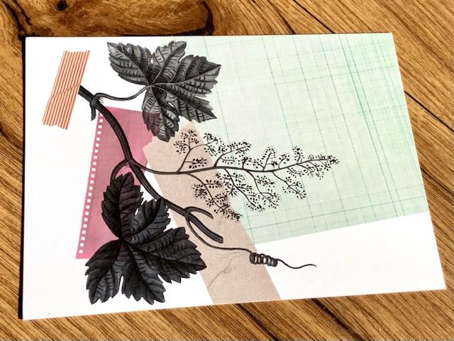 Postkarte Ulrike Gödecke - Polly Paper - Umweltfreundliche Schreibwaren