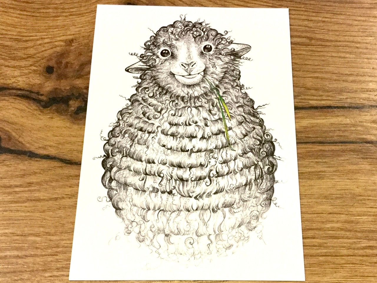 Postkarte Schaf Wollfried Bambus Ligarti - Polly Paper - Umweltfreundliche Schreibwaren