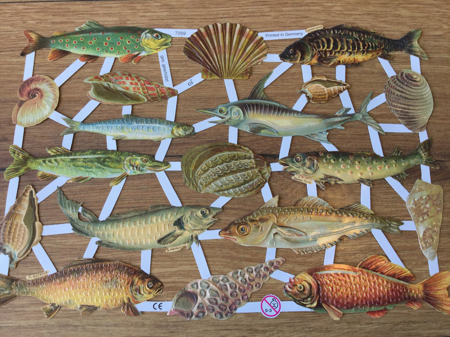 Nostalgische Glanzbilder (Oblaten), Fische und Muscheln