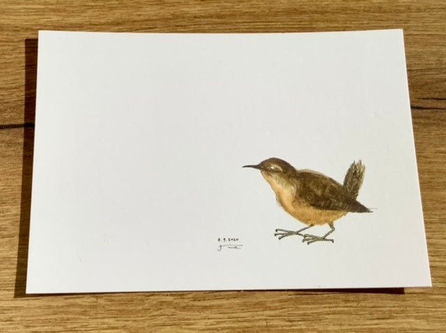 Weiße Postkarte mit einem gemalten Zaunkönig im unteren rechten Viertel der Karte.