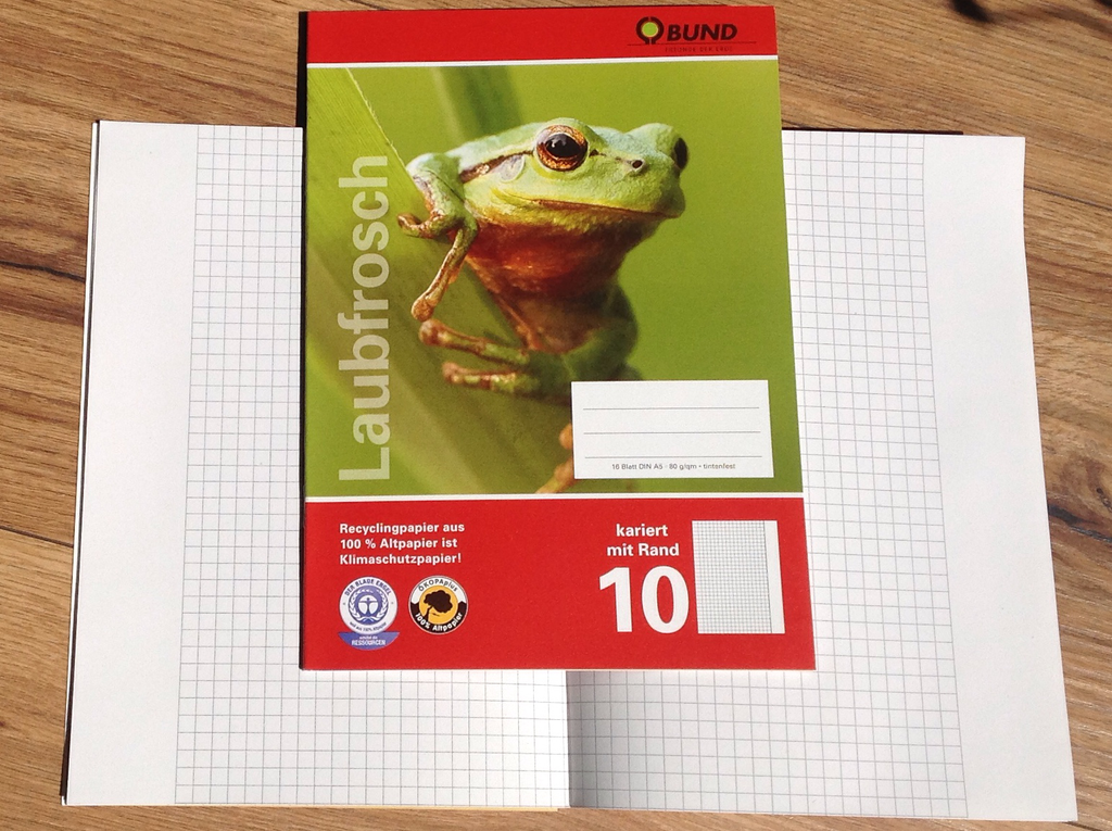 A5-Heft Lin. 10 kariert mit weißem Korrekturrand