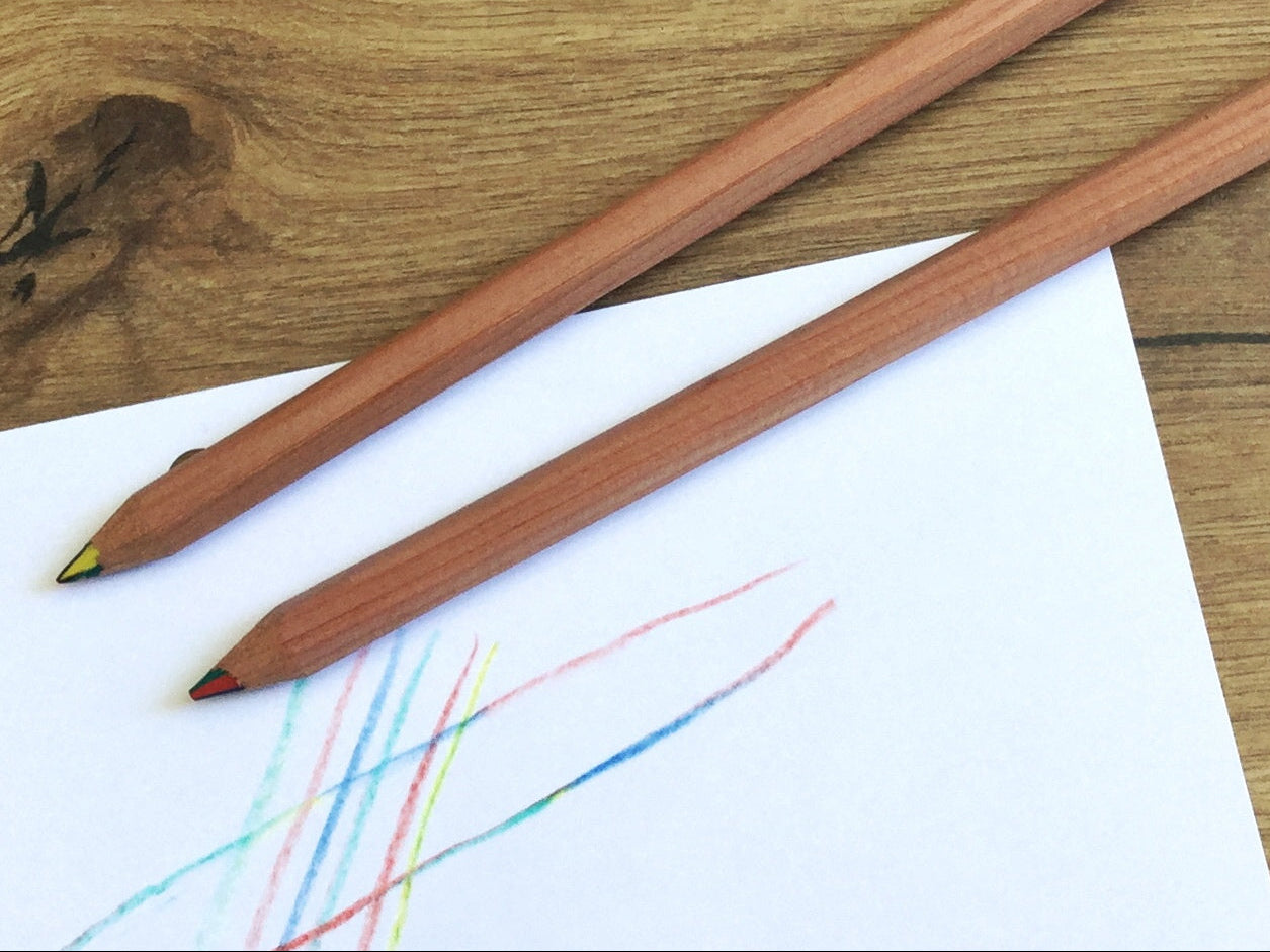 Regenbogenstift 4Farb-Buntstift jumbo ökonorm - Polly Paper - Umweltfreundliche Schreibwaren