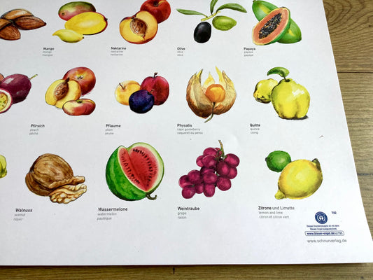 ABC-Poster Obst Schnurverlag