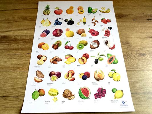 ABC-Poster Obst Schnurverlag