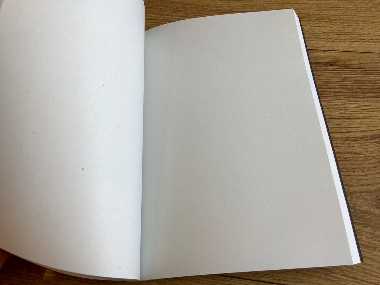 ZAPbook A5 1/2 blanko geleimt 80g 80Bl.° - Polly Paper - Umweltfreundliche Schreibwaren