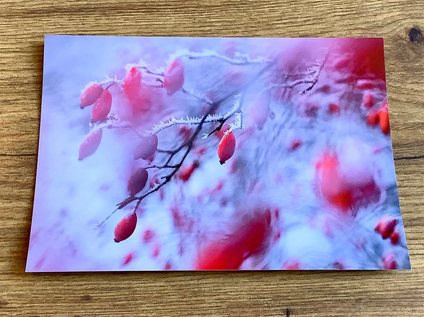 Postkarte Hagebuttentraum (Sandra Bartocha)