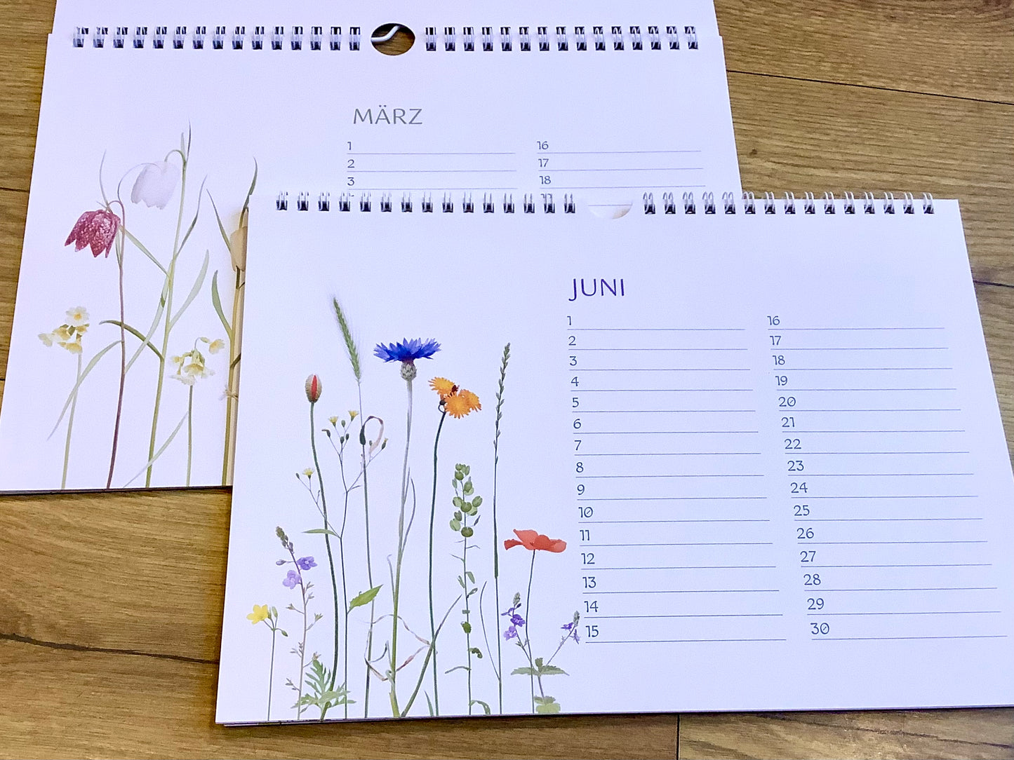 Geburtstagskalender A4 quer Blumenwiesen (Zwiebelblüher)
