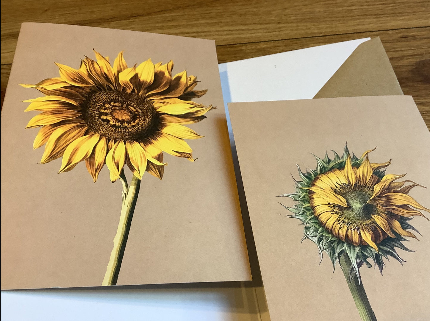Doppel-Klappkarte A6 Blüten ("30x40") Leporellokarte°