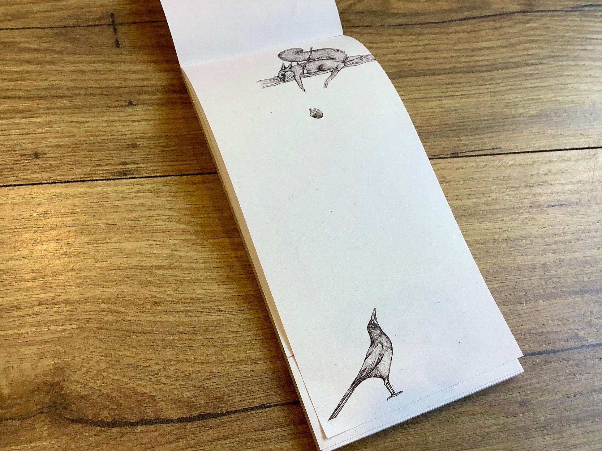 Notizblock Tiere 8x17cm lang Ligarti° - Polly Paper - Umweltfreundliche Schreibwaren