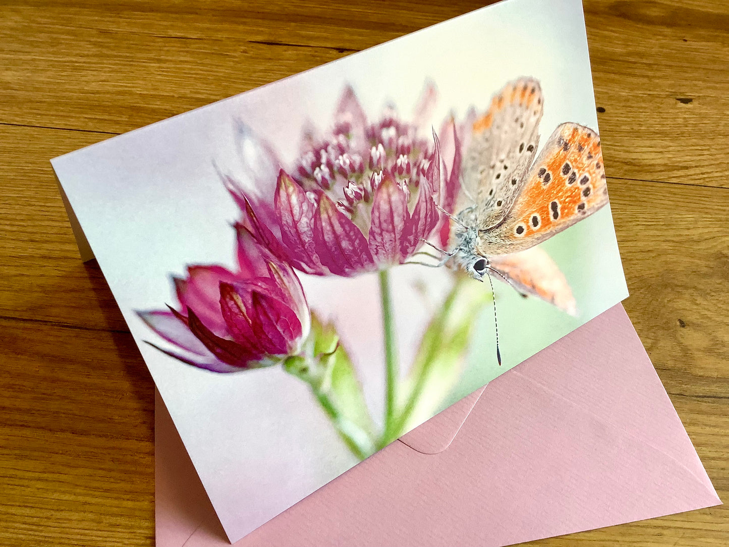 Briefkarte Sterndolde mit Schmetterling B6