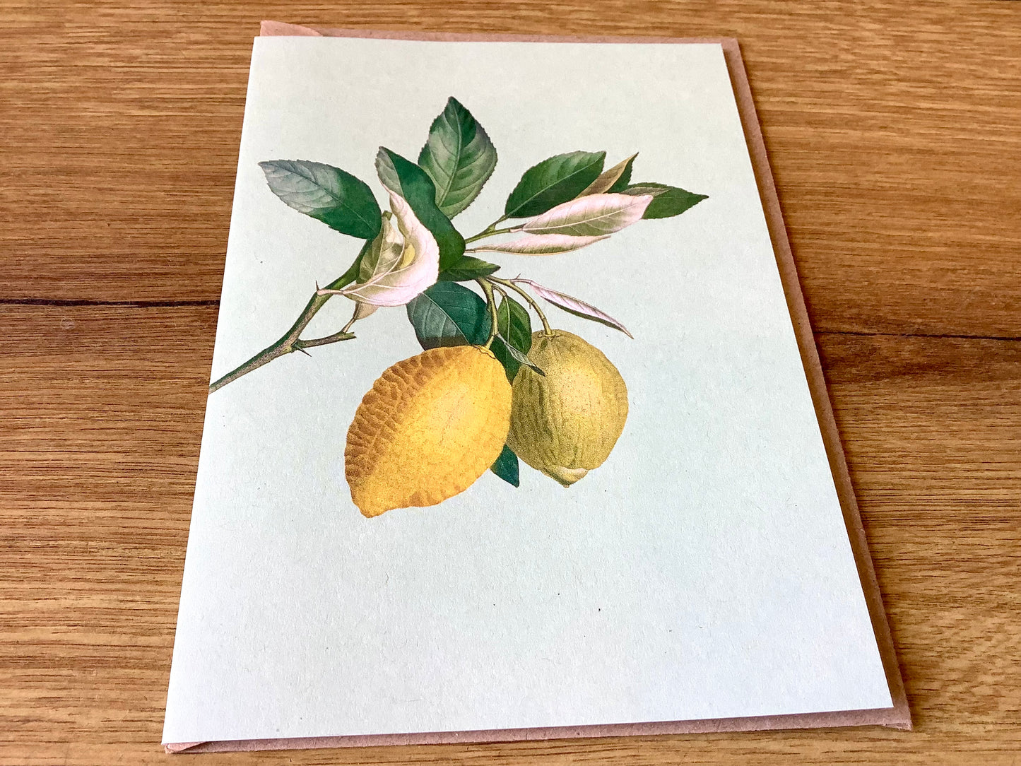 Briefkarte A6 „30x40“ Pflanzen+Tiere Recycling°