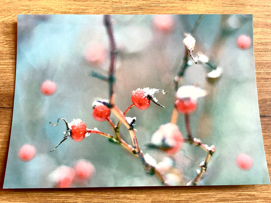 Postkarte Hagebuttentanz (art+nature) B6