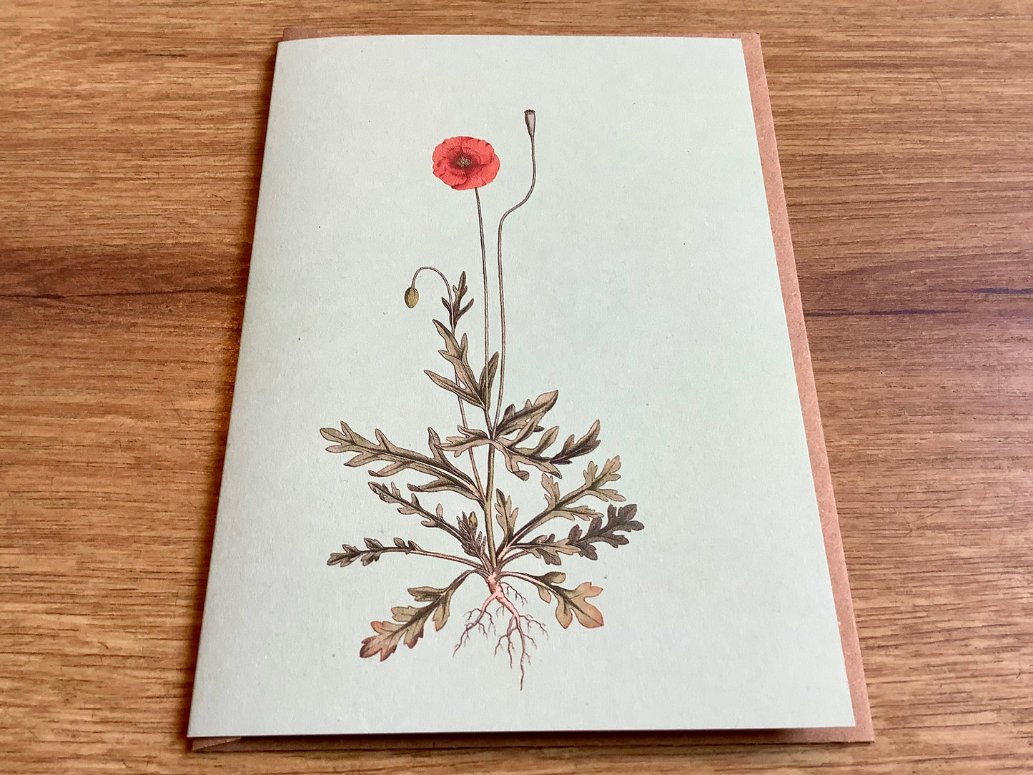 Briefkarte A6 „30x40“ Pflanzen+Tiere Recycling°