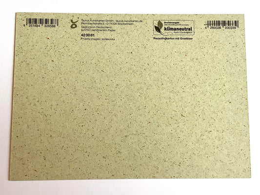 Postkarte Graspapier "Wie schön, dass es dich gibt!" - Polly Paper - Umweltfreundliche Schreibwaren