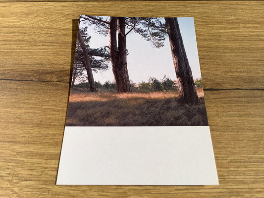 Postkarte Jennifer Deinzer Fotos A6° - Polly Paper - Umweltfreundliche Schreibwaren