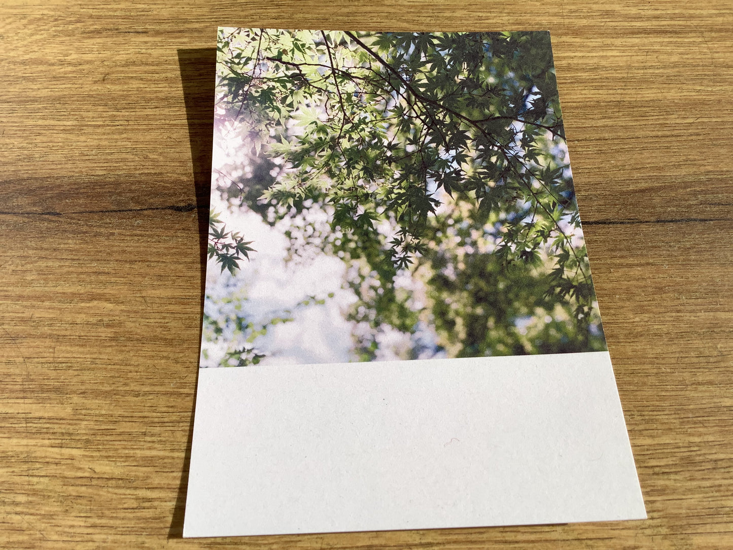 Postkarte Jennifer Deinzer Fotos A6° - Polly Paper - Umweltfreundliche Schreibwaren