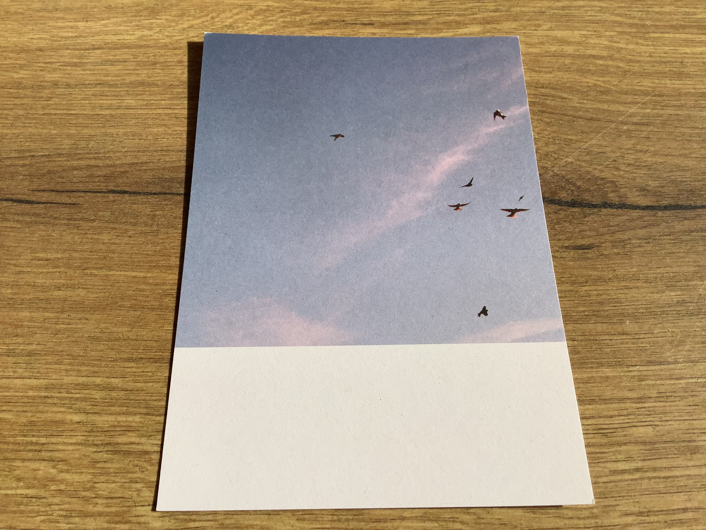 Postkarte Jennifer Deinzer Fotos A6° - Polly Paper - Umweltfreundliche Schreibwaren