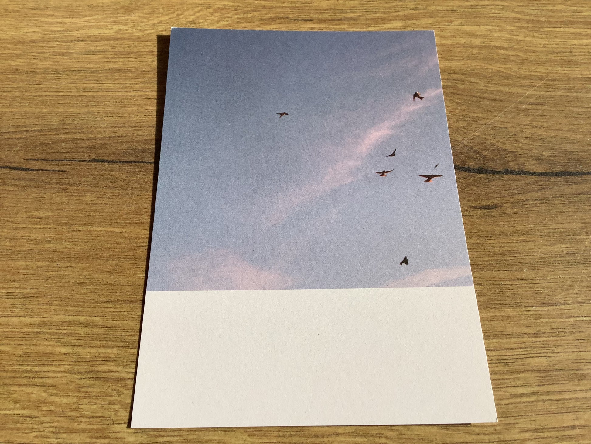 Postkarte Jennifer Deinzer Fotos A6° - Polly Paper - Umweltfreundliche Schreibwaren