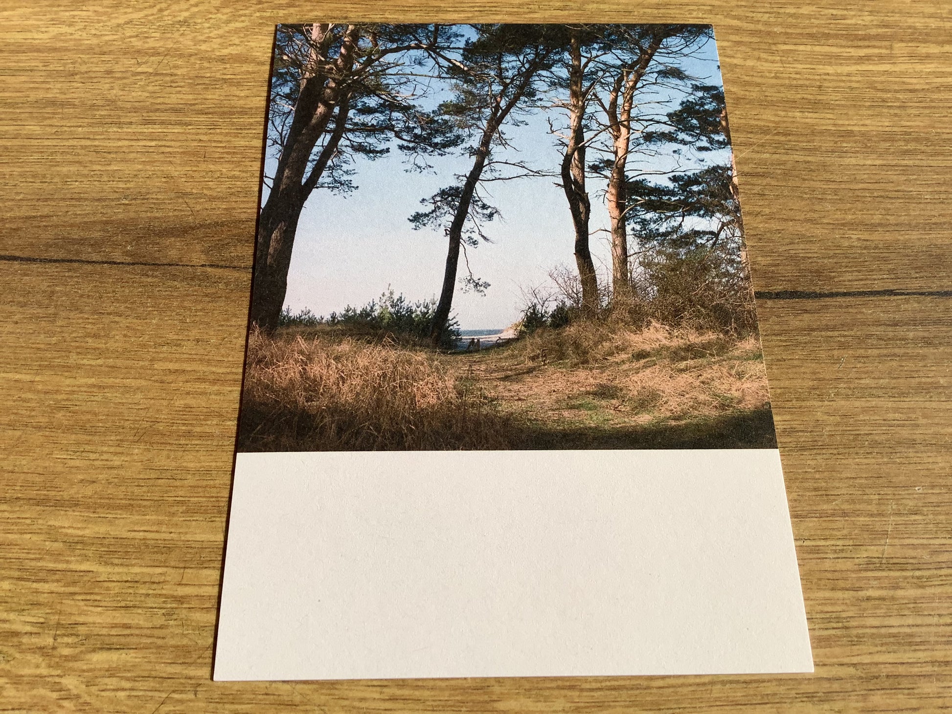 Postkarte Jennifer Deinzer Fotos A6° - Polly Paper - Umweltfreundliche Schreibwaren