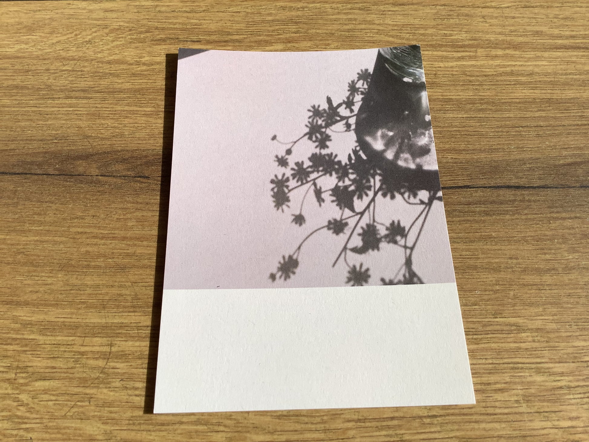 Postkarte Jennifer Deinzer Fotos A6° - Polly Paper - Umweltfreundliche Schreibwaren
