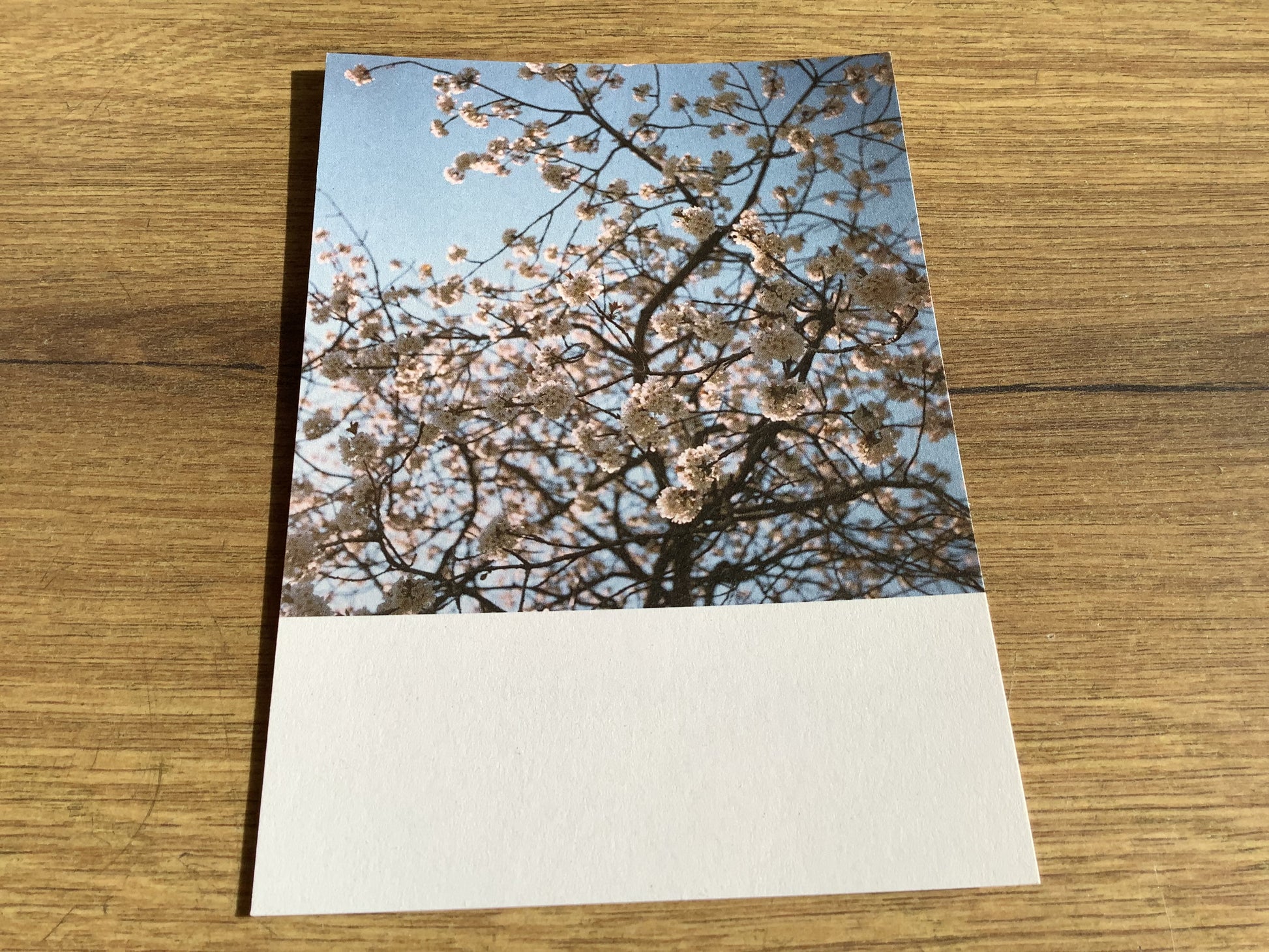 Postkarte Jennifer Deinzer Fotos A6° - Polly Paper - Umweltfreundliche Schreibwaren