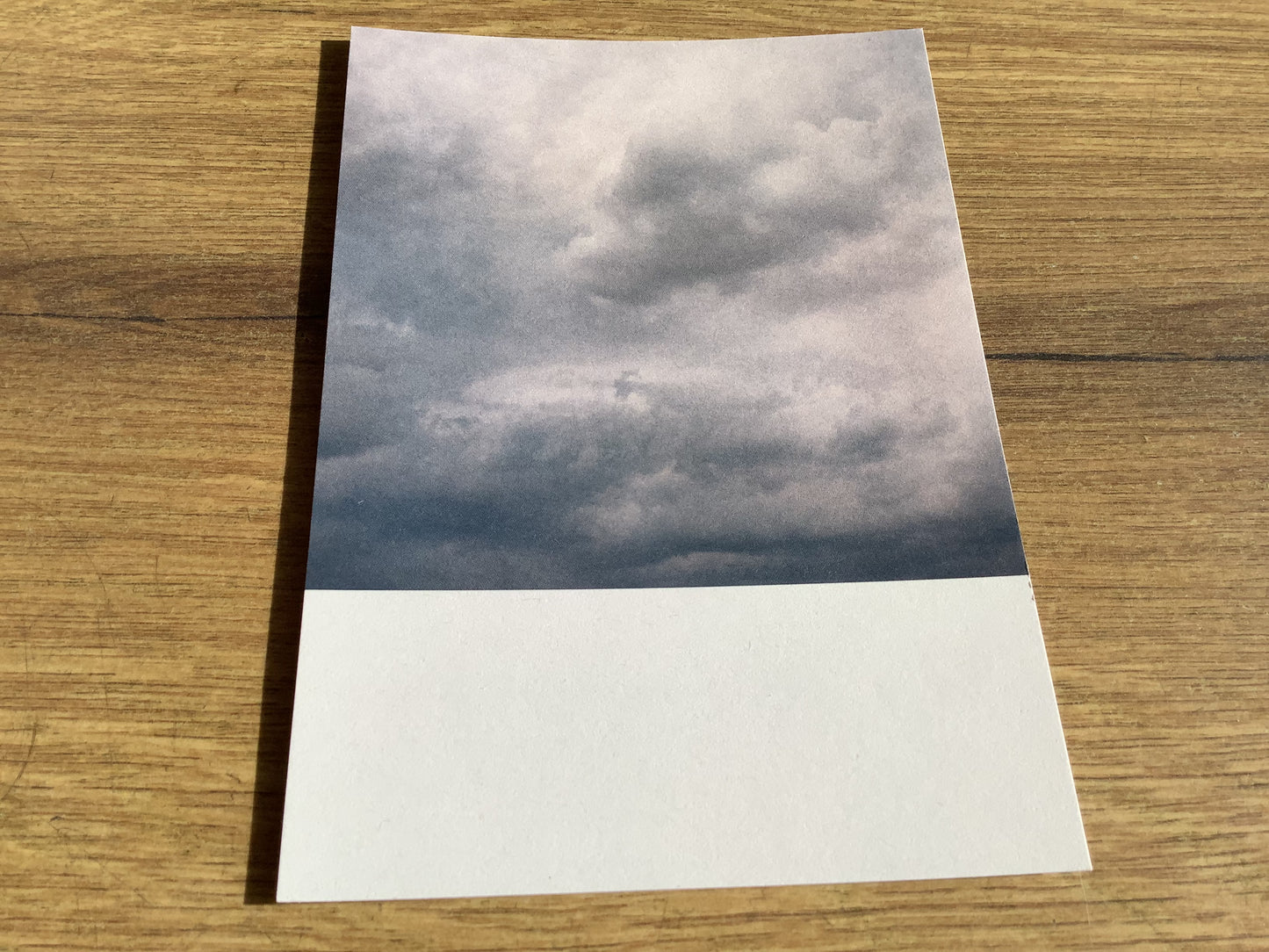 Postkarte Jennifer Deinzer Fotos A6° - Polly Paper - Umweltfreundliche Schreibwaren