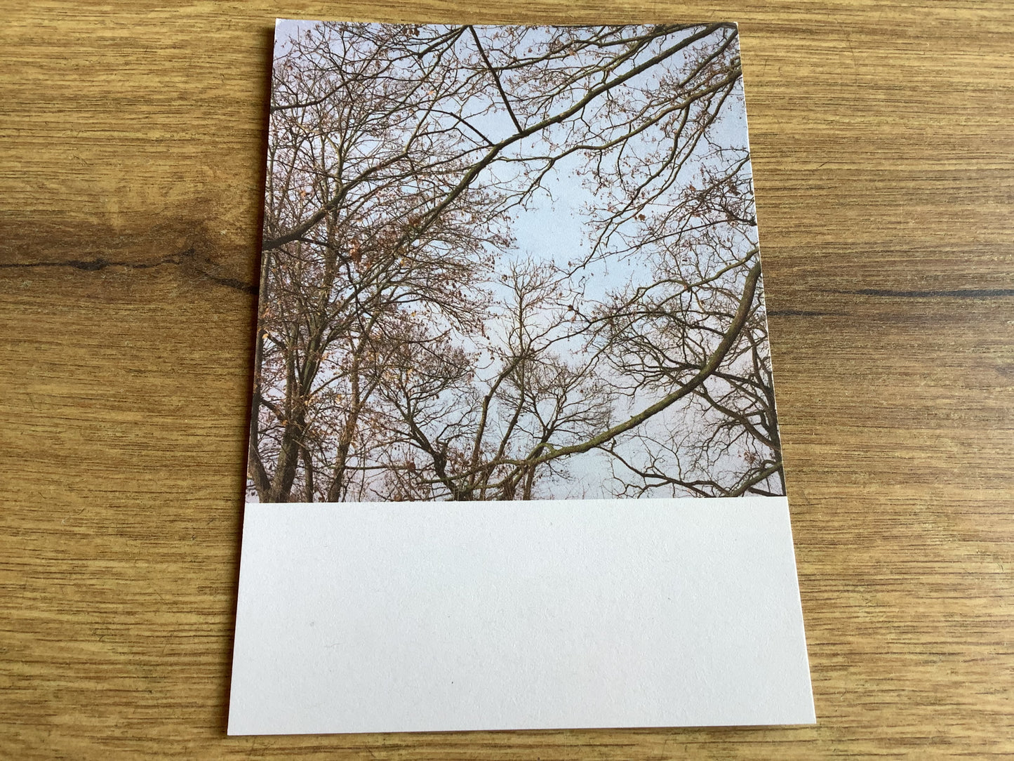 Postkarte Jennifer Deinzer Fotos A6° - Polly Paper - Umweltfreundliche Schreibwaren