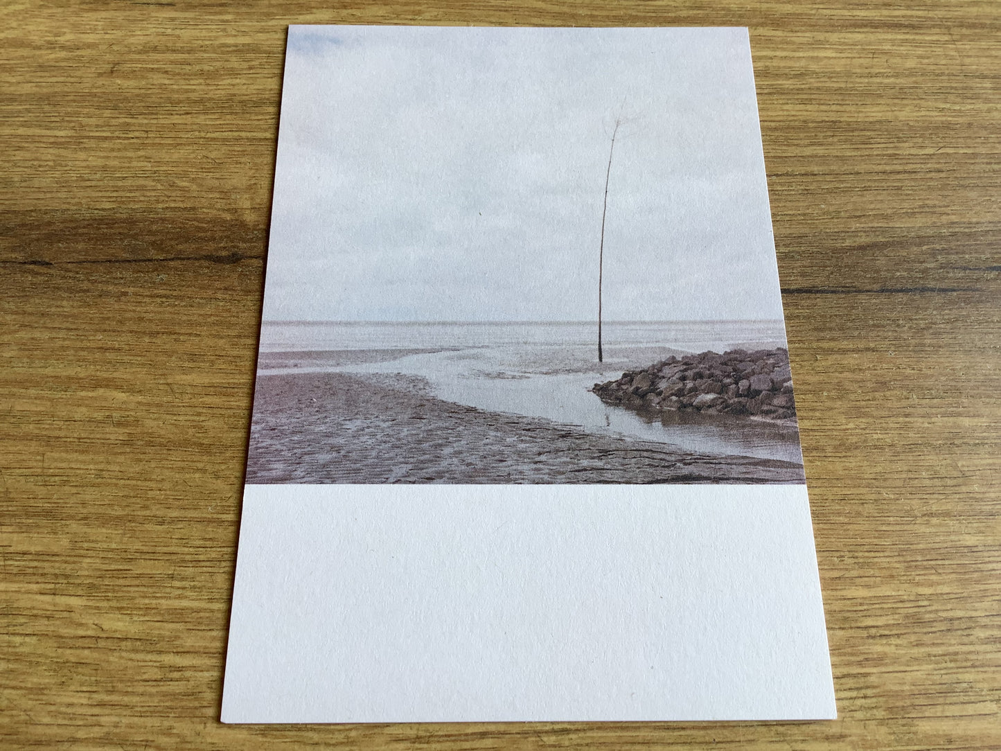 Postkarte Jennifer Deinzer Fotos A6° - Polly Paper - Umweltfreundliche Schreibwaren