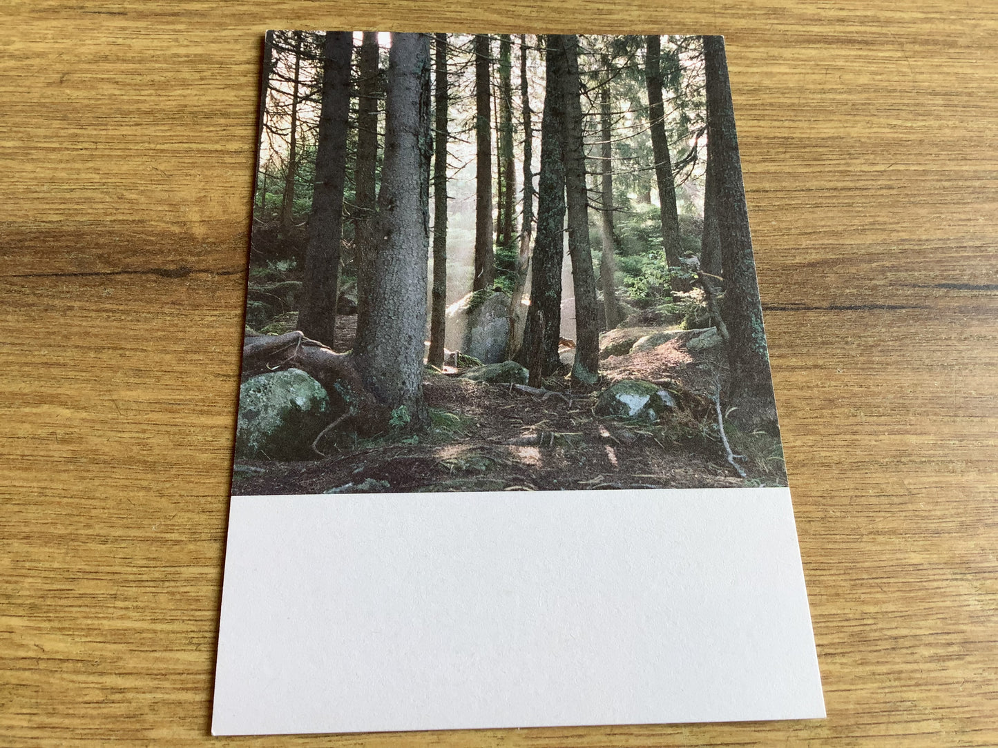 Postkarte Jennifer Deinzer Fotos A6° - Polly Paper - Umweltfreundliche Schreibwaren