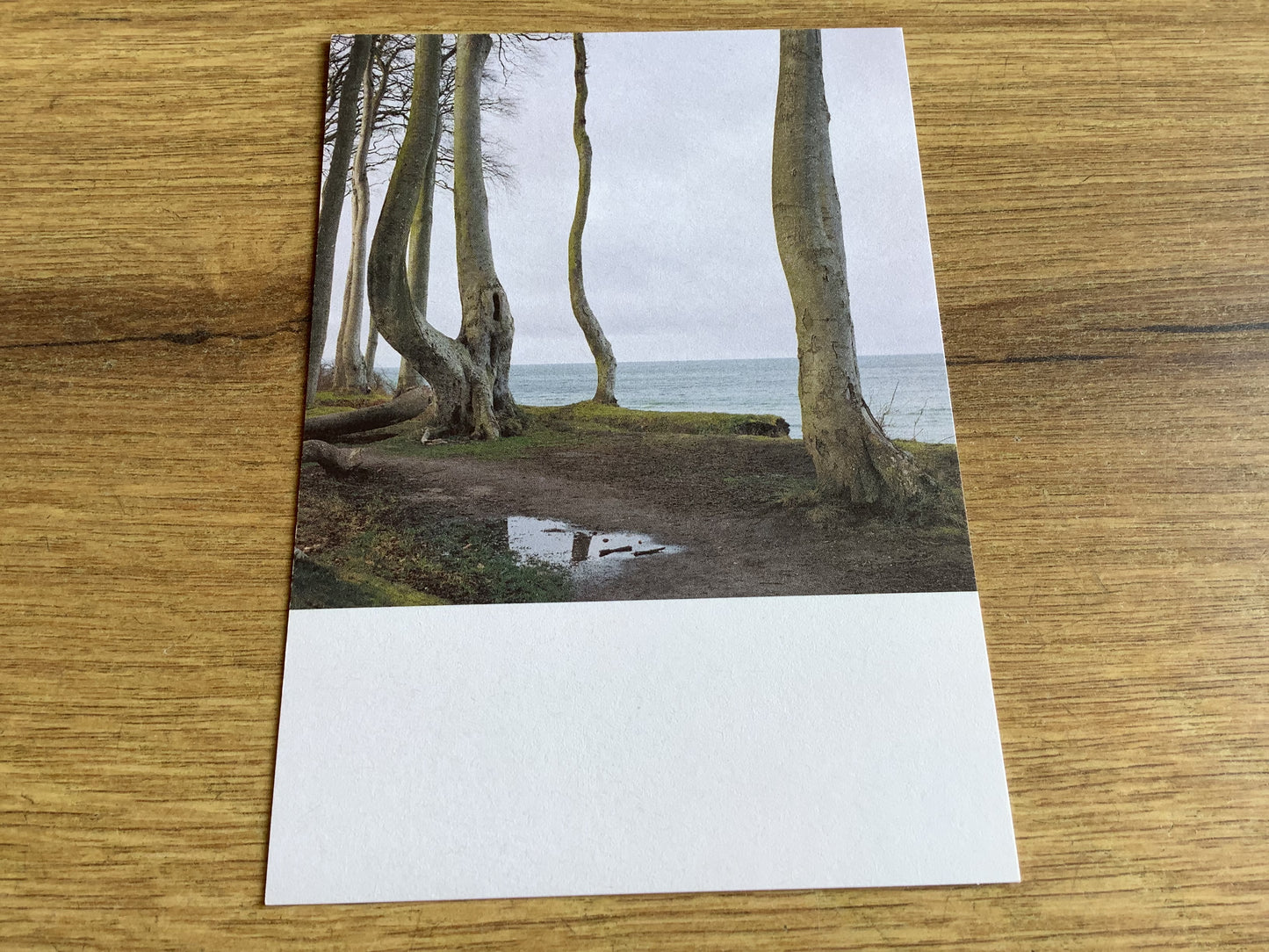 Postkarte Jennifer Deinzer Fotos A6° - Polly Paper - Umweltfreundliche Schreibwaren