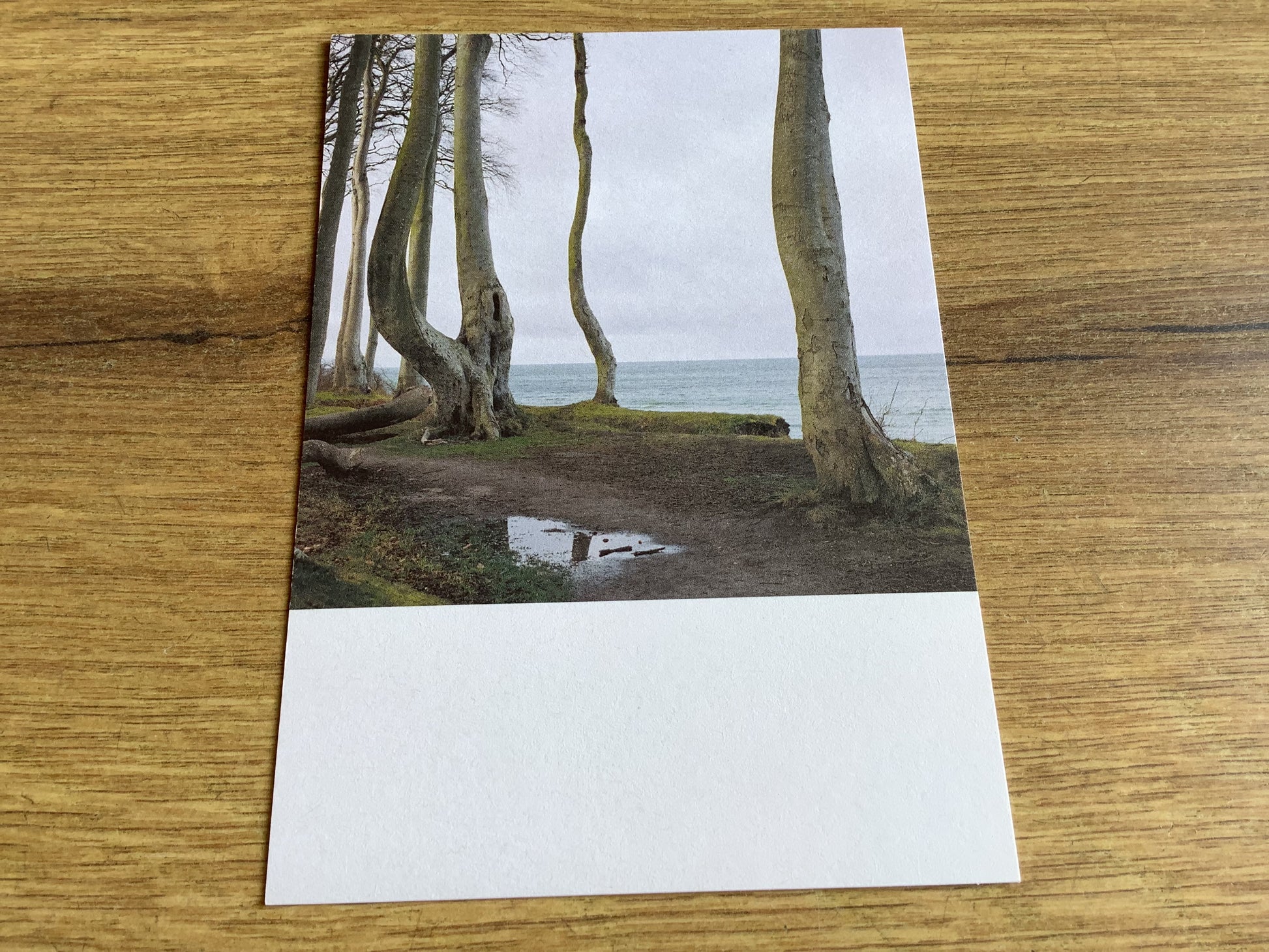 Postkarte Jennifer Deinzer Fotos A6° - Polly Paper - Umweltfreundliche Schreibwaren