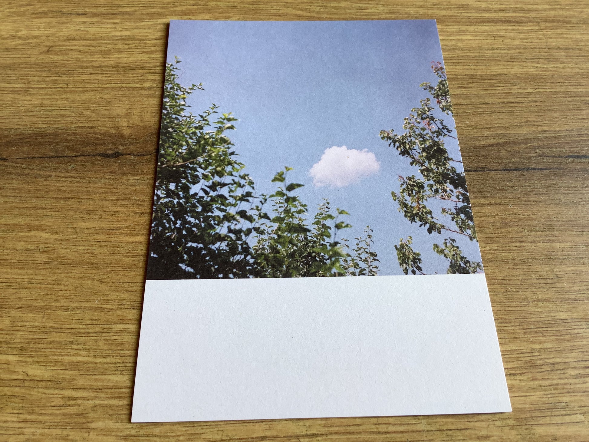 Postkarte Jennifer Deinzer Fotos A6° - Polly Paper - Umweltfreundliche Schreibwaren