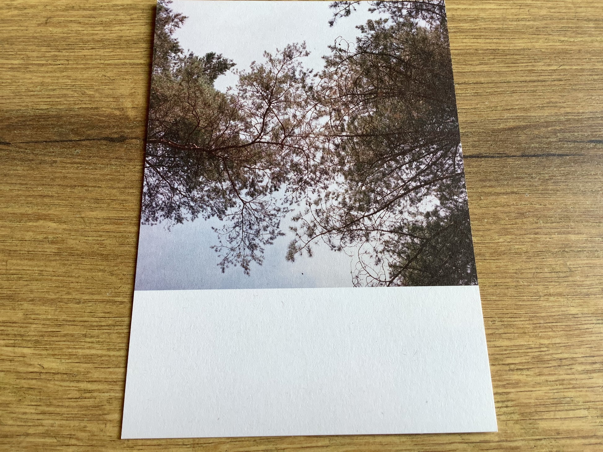 Postkarte Jennifer Deinzer Fotos A6° - Polly Paper - Umweltfreundliche Schreibwaren