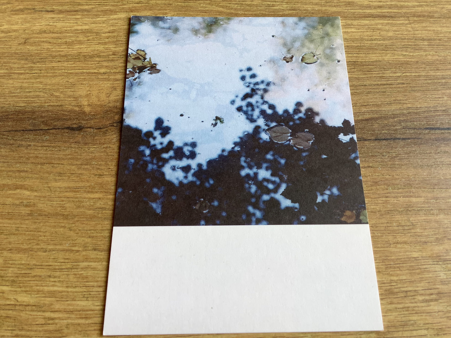 Postkarte Jennifer Deinzer Fotos A6° - Polly Paper - Umweltfreundliche Schreibwaren