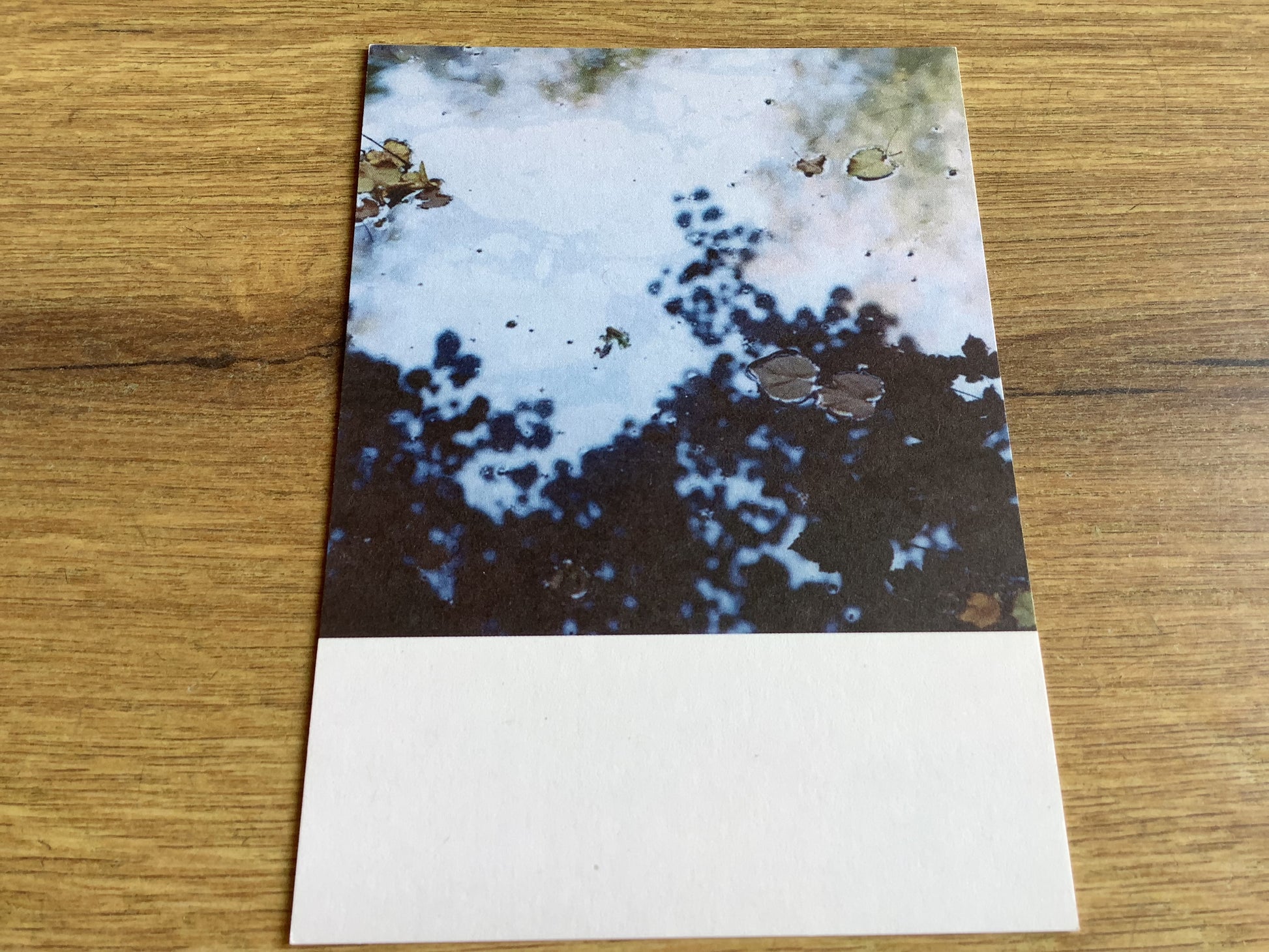 Postkarte Jennifer Deinzer Fotos A6° - Polly Paper - Umweltfreundliche Schreibwaren