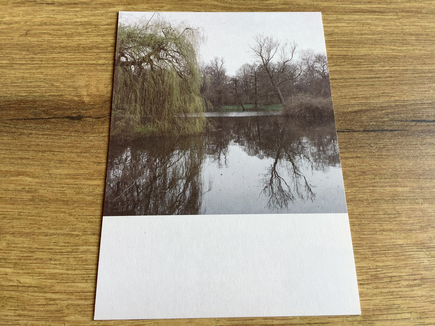 Postkarte Jennifer Deinzer Fotos A6° - Polly Paper - Umweltfreundliche Schreibwaren