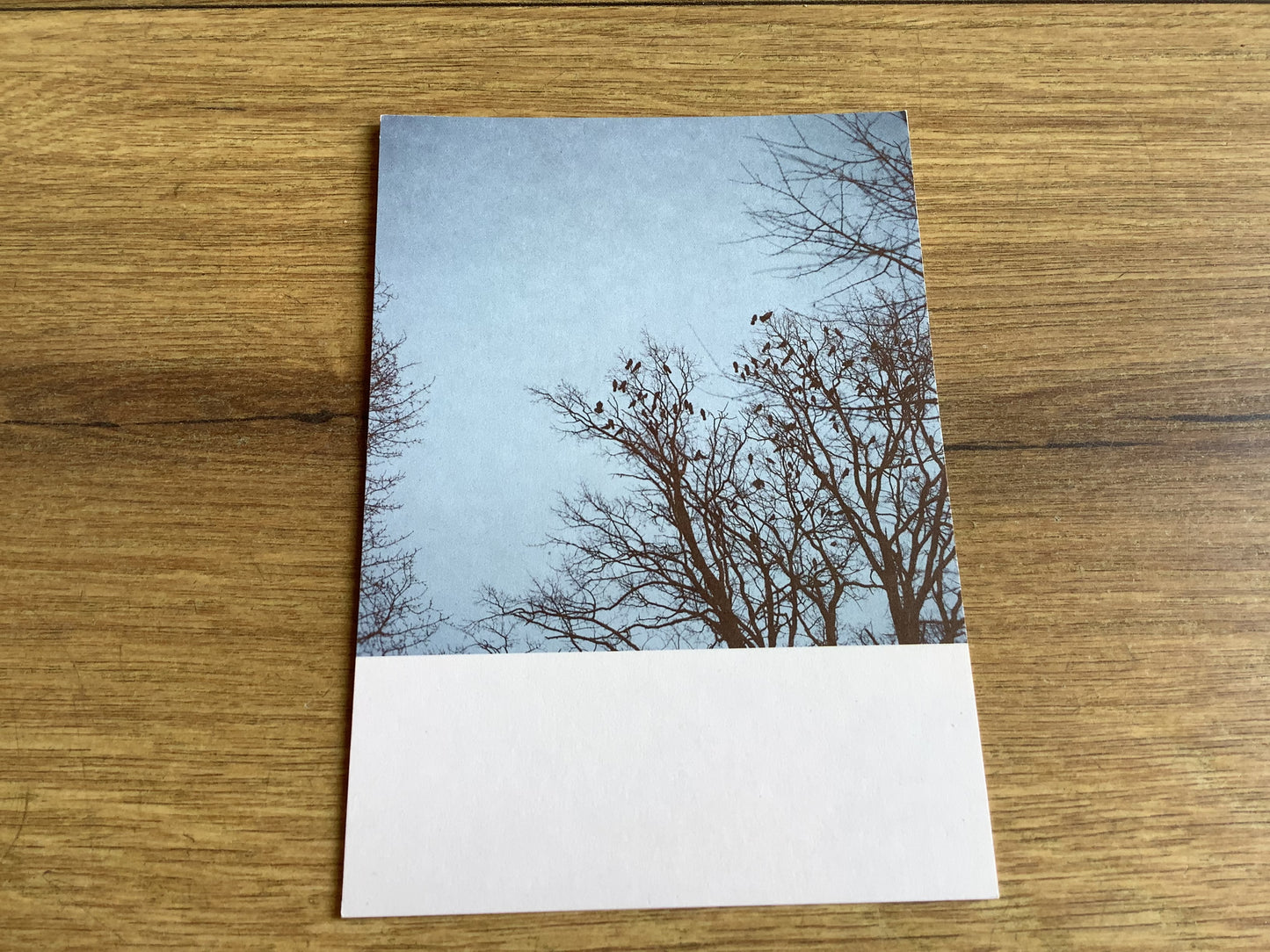Postkarte Jennifer Deinzer Fotos A6° - Polly Paper - Umweltfreundliche Schreibwaren