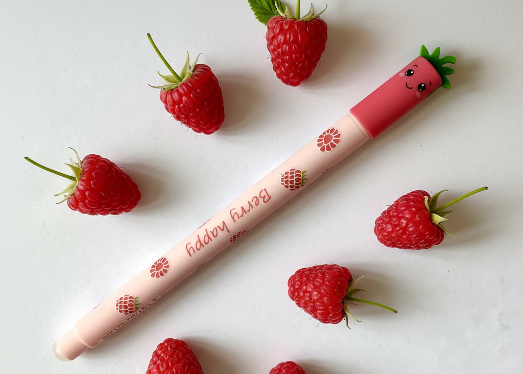 Geschreiber erase-it