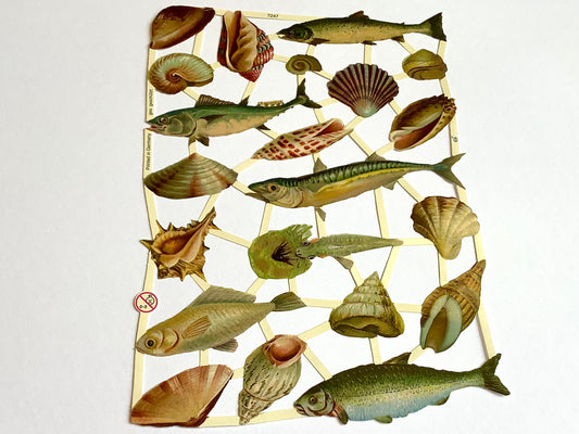 Nostalgische Glanzbilder (Oblaten), Fische und Muscheln