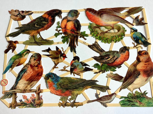 Glanzbilder Vögel nostalgisch 7281 - Polly Paper - Umweltfreundliche Schreibwaren