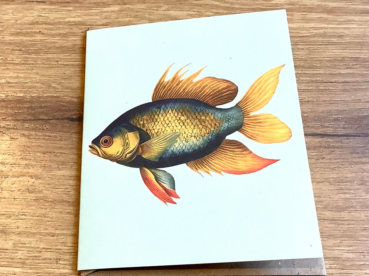 Kleine Grußkarte A7 Wassertiere („30x40“) RC°