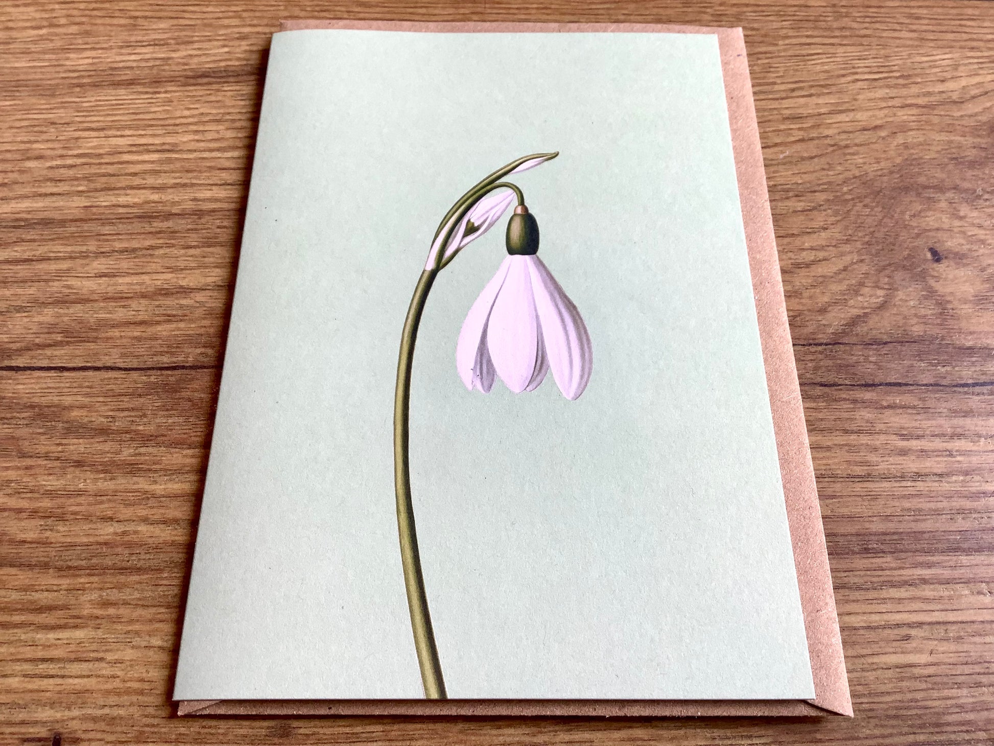 Doppel-Klappkarte Frühblüher ("30x40“) Leporellokarte° - Polly Paper - Umweltfreundliche Schreibwaren