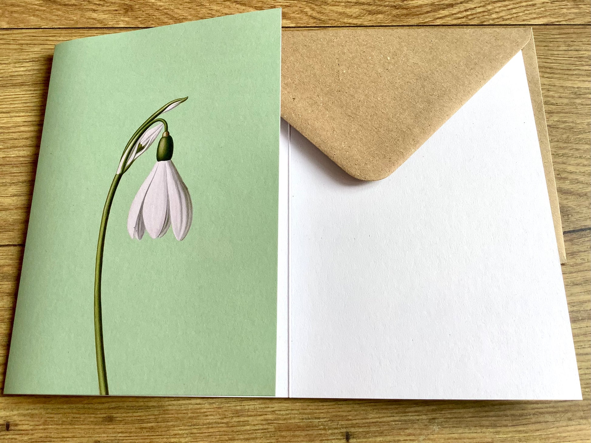 Doppel-Klappkarte Frühblüher ("30x40“) Leporellokarte° - Polly Paper - Umweltfreundliche Schreibwaren