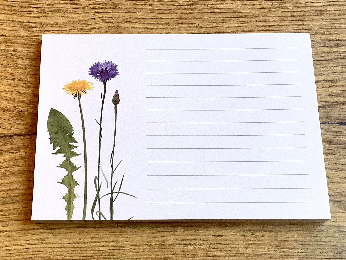 Notizblock A6 Löwenzahn + Kornblume RC („Zwiebelblüher“) - Polly Paper - Umweltfreundliche Schreibwaren